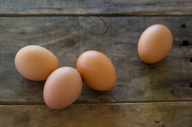 卵の栄養について